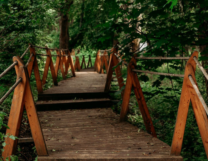 Внешний вид и территория - Отель Welna Eco Spa Resort / Велна Эко Спа Резорт