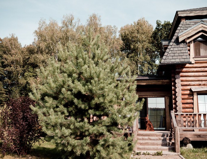 Внешний вид и территория - Отель Welna Eco Spa Resort / Велна Эко Спа Резорт