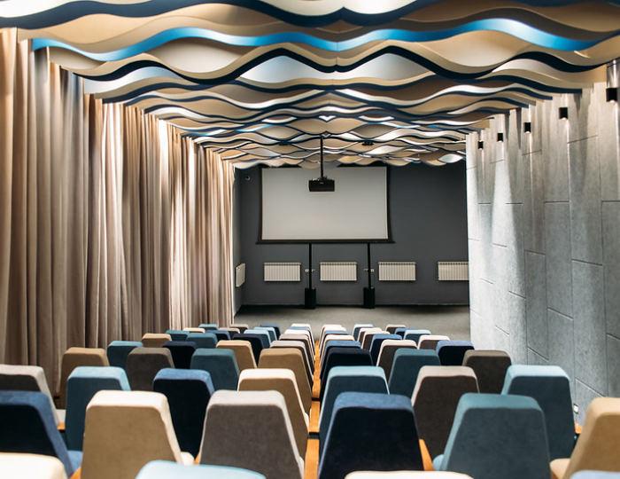 Конференц-зал «Кинотеатр» - Отель Welna Eco Spa Resort / Велна Эко Спа Резорт