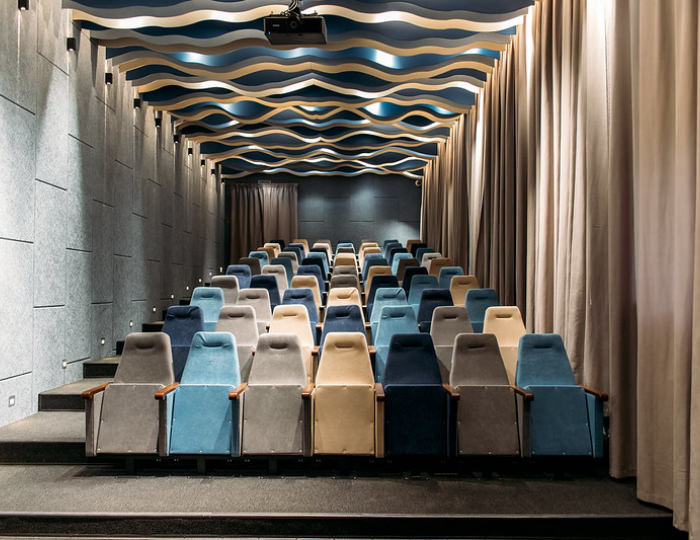 Конференц-зал «Кинотеатр» - Отель Welna Eco Spa Resort / Велна Эко Спа Резорт