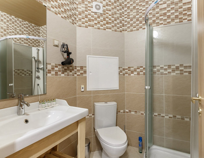 Standart Plus - Отель Welna Eco Spa Resort / Велна Эко Спа Резорт