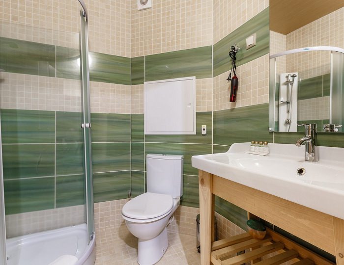 Standart (без балкона) - Отель Welna Eco Spa Resort / Велна Эко Спа Резорт